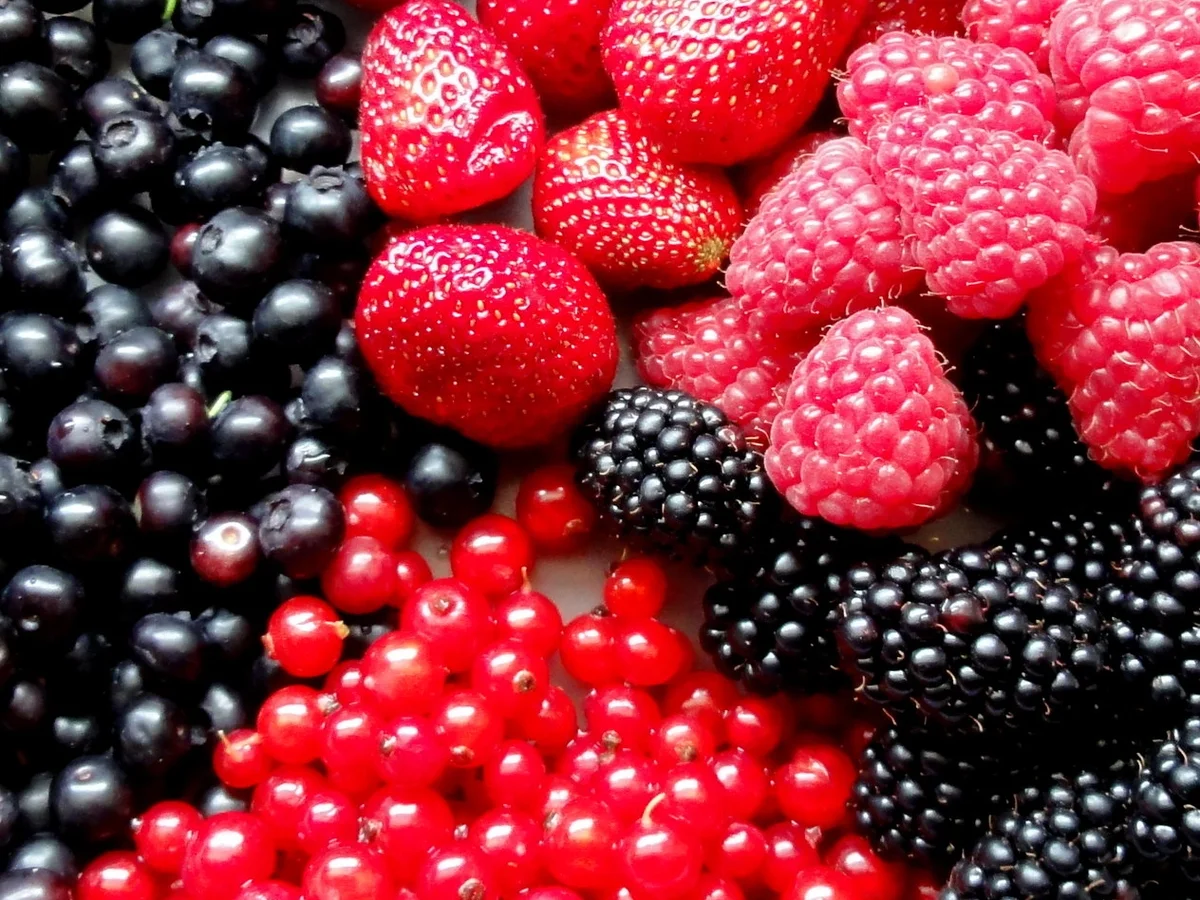 M+G:   5 x BEEREN - FRUCHTAUFSTRICH - Rezept - Bild Nr. 365