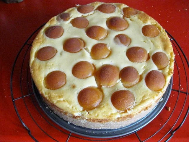 Rezept: Käsekuchen mit Zuckeraprikosen Bild Nr. 364 Käsekuchen mit Zuckeraprikosen - Rezept - Bild Nr. 364
