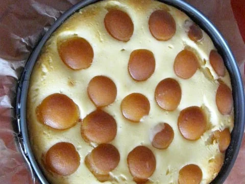 Rezept: Käsekuchen mit Zuckeraprikosen Bild Nr. 376 Käsekuchen mit Zuckeraprikosen - Rezept - Bild Nr. 376