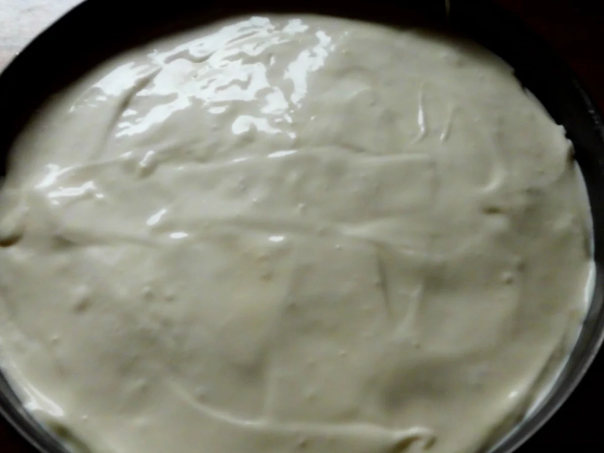 mango -käse-quarktorte - Rezept - Bild Nr. 378