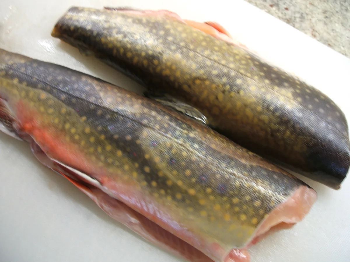 Rezept: Fisch: Salmerino in padella Bild Nr. 379 Fisch: Salmerino in padella - Rezept - Bild Nr. 379