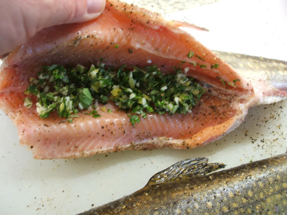 Rezept: Fisch: Salmerino in padella Bild Nr. 381 Fisch: Salmerino in padella - Rezept - Bild Nr. 381