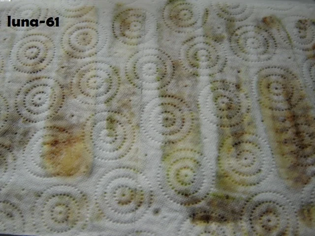 Zucchine alla scapece - Rezept - Bild Nr. 392