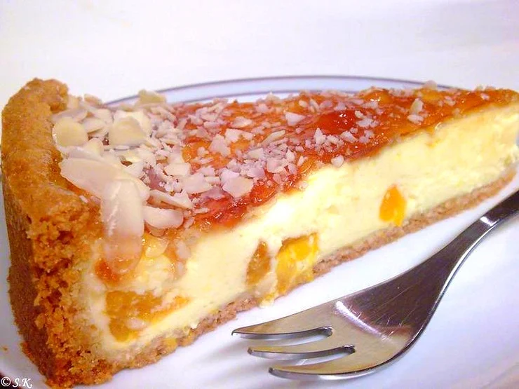 Kuchen - Mandarinen Schmandkuchen - Rezept - Bild Nr. 420