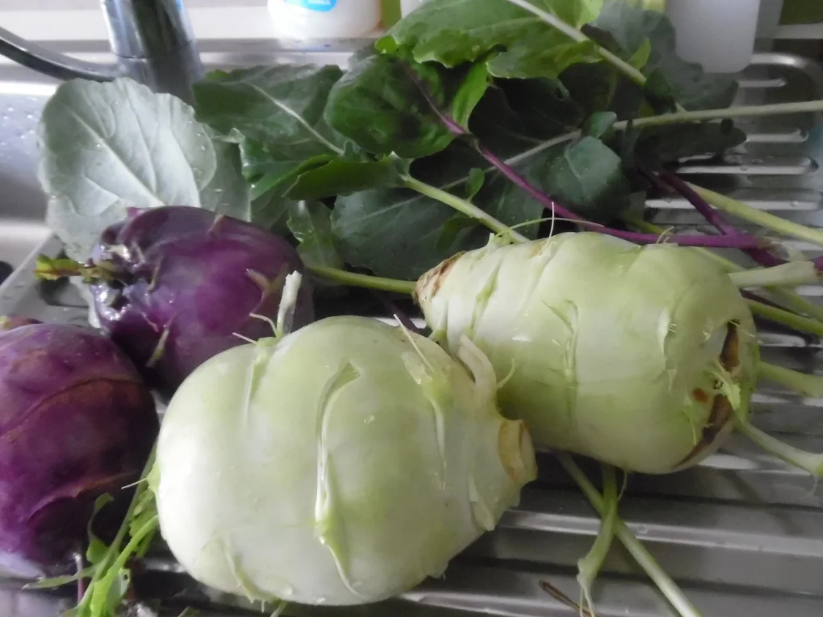 Rahm-Kohlrabi-Eintopf - Rezept - Bild Nr. 428