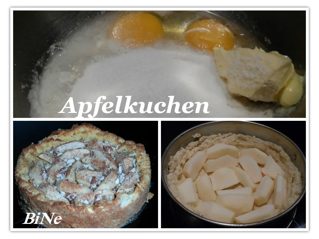BiNe` S APFELKUCHEN - Rezept - Bild Nr. 509