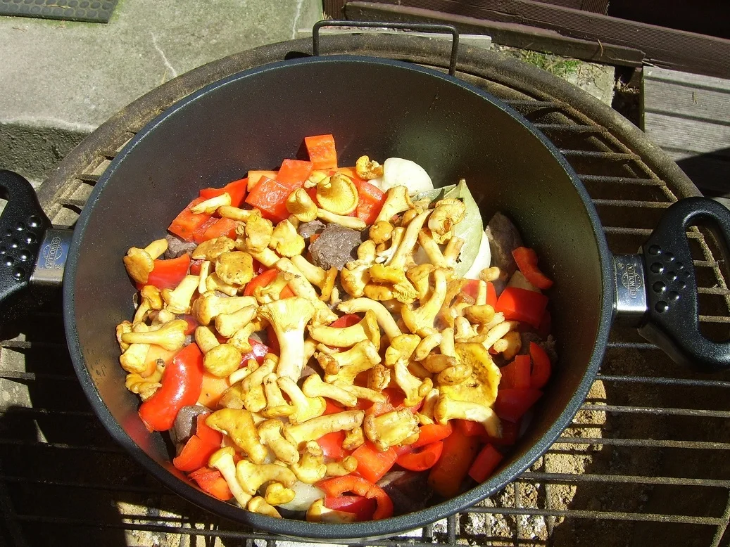 Hirschgulasch mit Pfifferlingen - Rezept - Bild Nr. 552