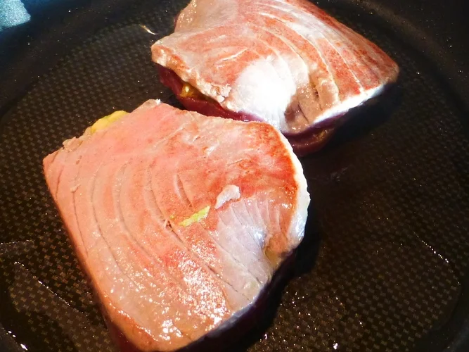 Thunfischsteak mit Avocadofüllung und Tomaten-Mint-Salsa - Rezept - Bild Nr. 557