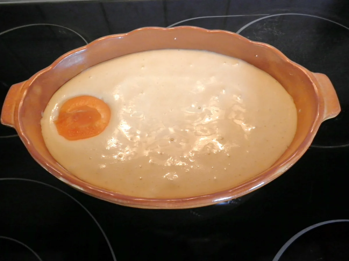 Rezept: Kleiner Aprikosen - Auflauf Bild Nr. 562 Kleiner Aprikosen - Auflauf - Rezept - Bild Nr. 562