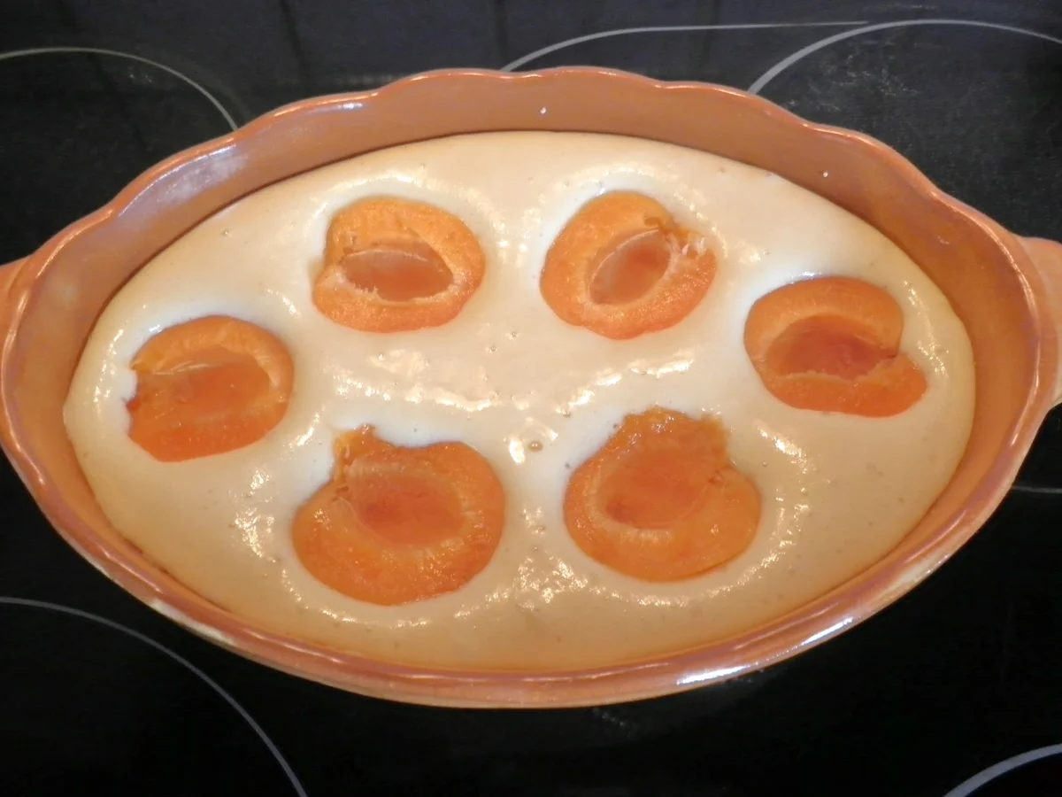 Rezept: Kleiner Aprikosen - Auflauf Bild Nr. 563 Kleiner Aprikosen - Auflauf - Rezept - Bild Nr. 563