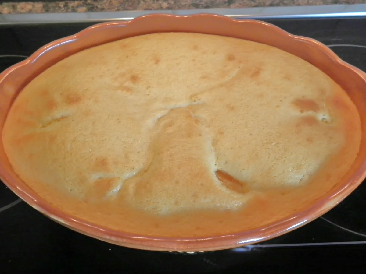 Rezept: Kleiner Aprikosen - Auflauf Bild Nr. 564 Kleiner Aprikosen - Auflauf - Rezept - Bild Nr. 564