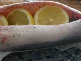 Wolfsbarsch aus dem Ofen - Rezept - Bild Nr. 569