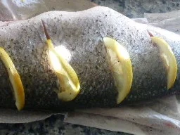 Wolfsbarsch aus dem Ofen - Rezept - Bild Nr. 570