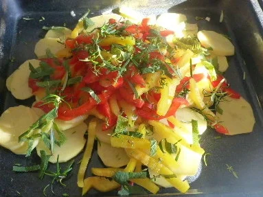 Wolfsbarsch aus dem Ofen - Rezept - Bild Nr. 571