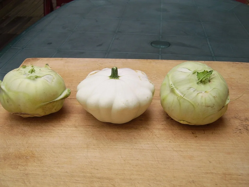 Rezept: Pattison - Kohlrabigemüse mit Safran Bild Nr. 578 Pattison - Kohlrabigemüse mit Safran - Rezept - Bild Nr. 578