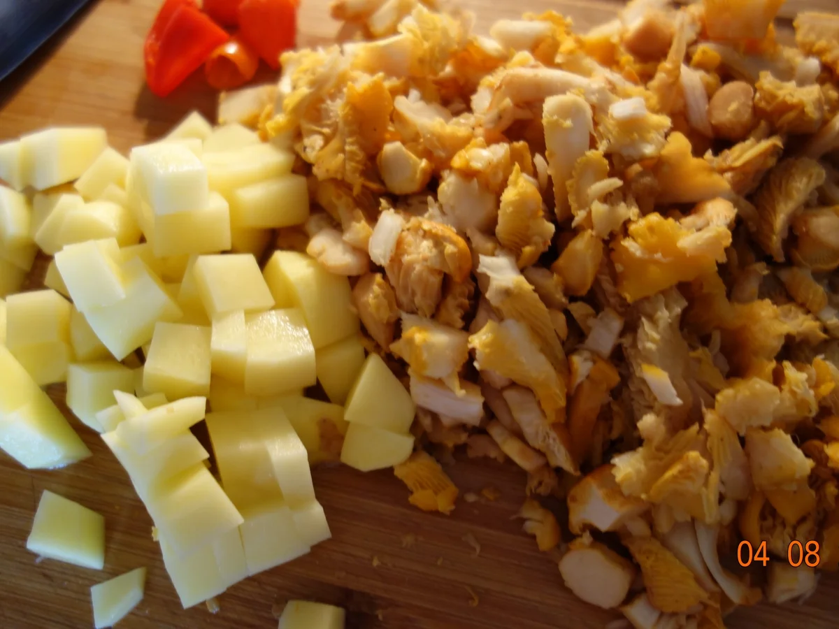 Rezept: Rinderschleppsuppe nach Waltl`s Art und Weise Bild Nr. 584 Rinderschleppsuppe nach Waltl`s Art und Weise - Rezept - Bild Nr. 584