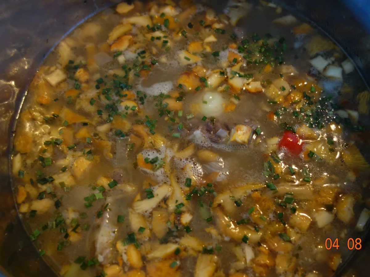 Rezept: Rinderschleppsuppe nach Waltl`s Art und Weise Bild Nr. 585 Rinderschleppsuppe nach Waltl`s Art und Weise - Rezept - Bild Nr. 585