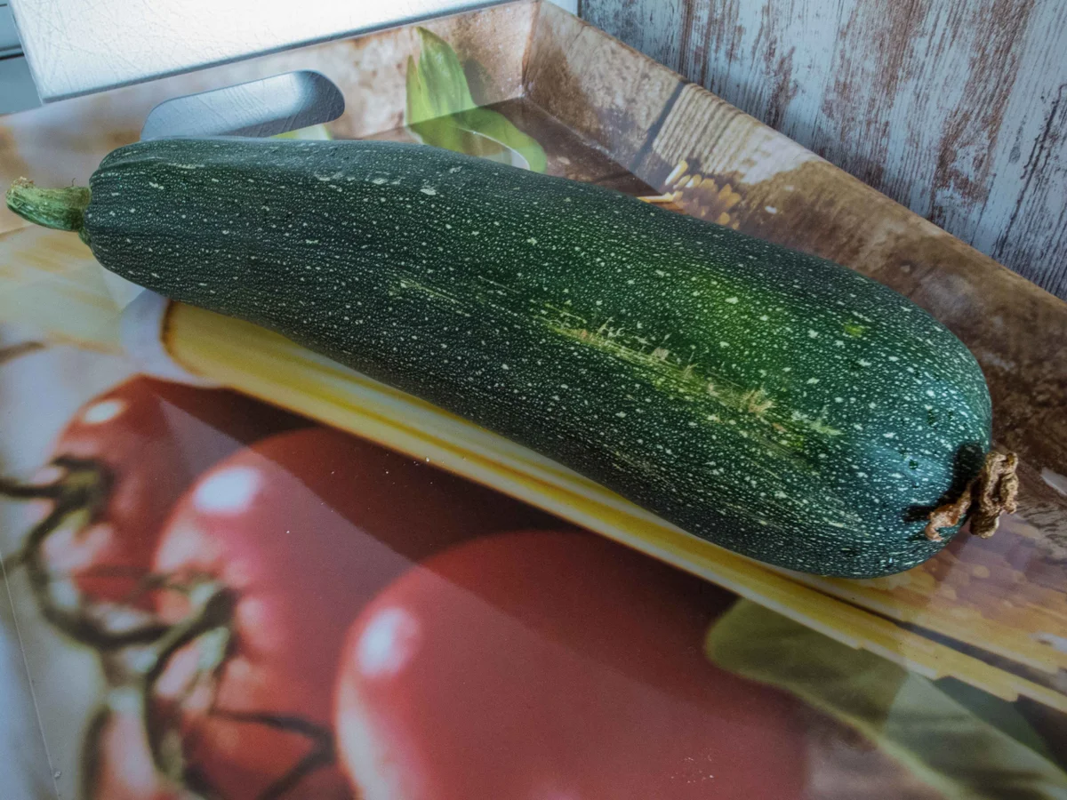 Zucchinischiffe mit Ragoutfüllung von der Pute im Tomatensoße - Rezept - Bild Nr. 637