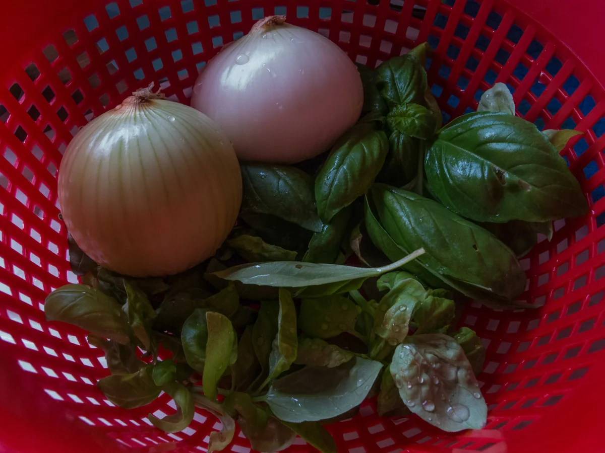 Zucchinischiffe mit Ragoutfüllung von der Pute im Tomatensoße - Rezept - Bild Nr. 638