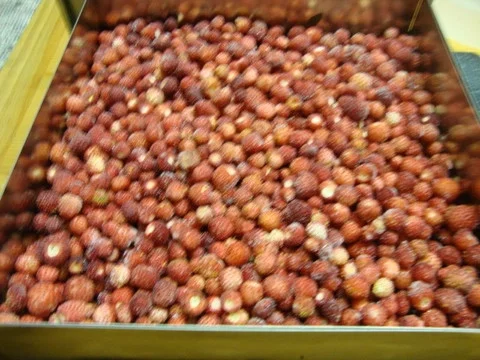 Rezept: "Walderdbeeren Törtchen" auf Keks-Schokoboden Bild Nr. 618 "Walderdbeeren Törtchen" auf Keks-Schokoboden - Rezept - Bild Nr. 618