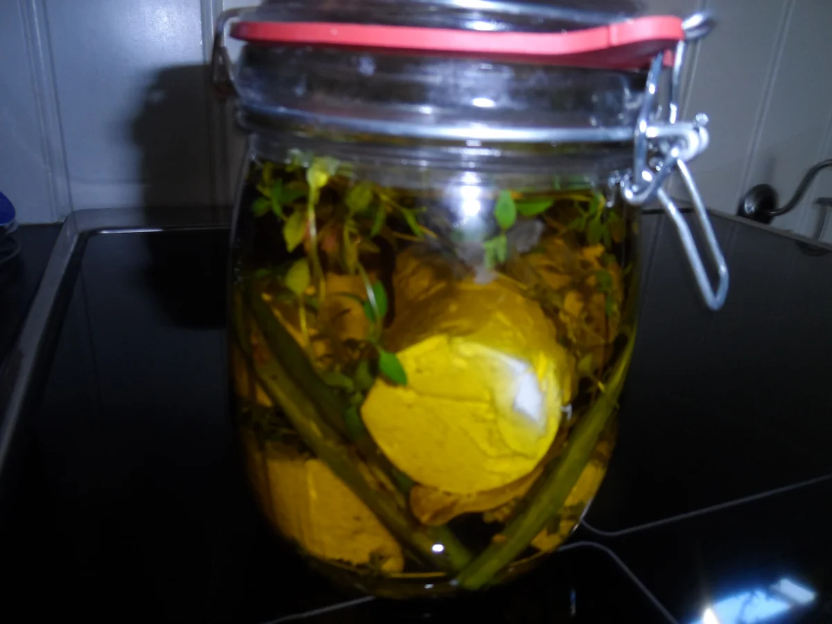 BiNe` S EINGELEGTER ZIEGENFRISCHKÄSE - Rezept - Bild Nr. 616