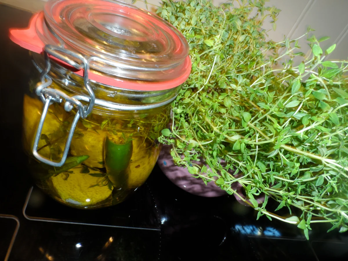 BiNe` S EINGELEGTER ZIEGENFRISCHKÄSE - Rezept - Bild Nr. 618