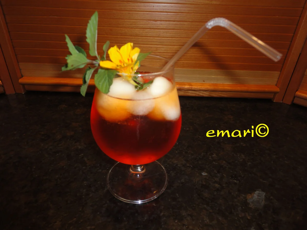 Scroppino - Aperol - Rezept - Bild Nr. 652