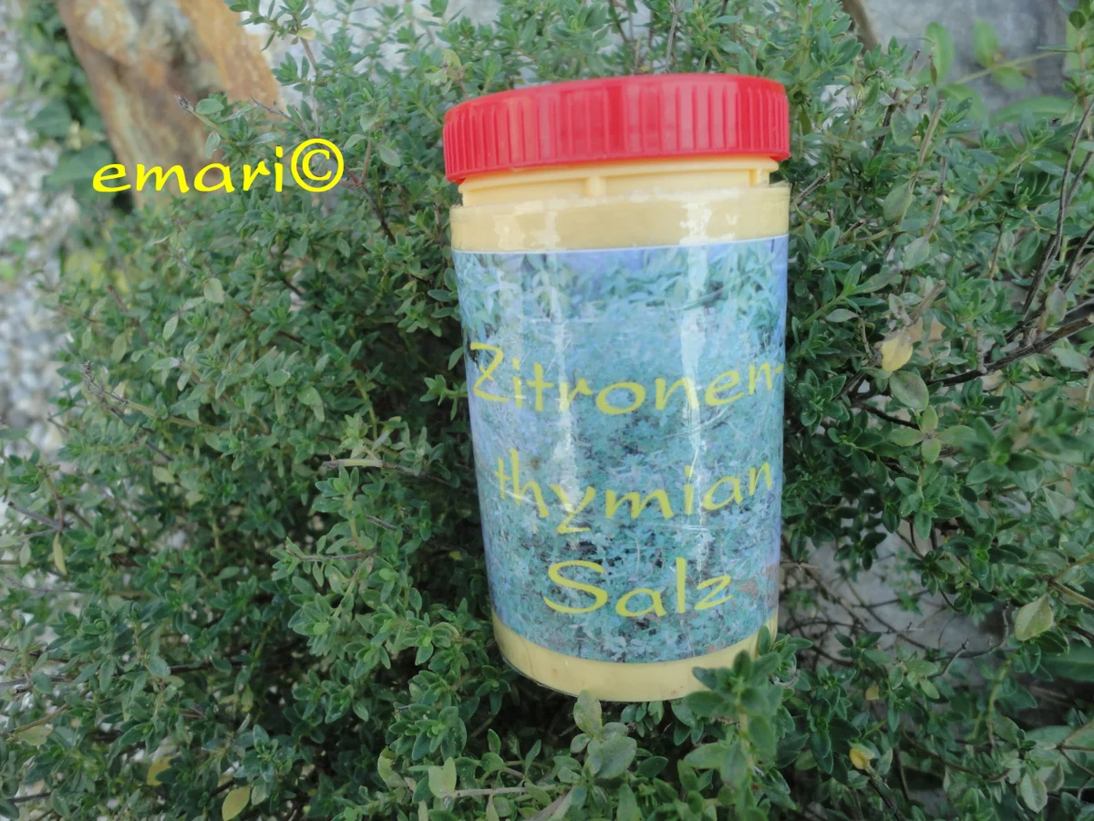 Rezept: Kräutersalz vom Zitronenthymian Bild Nr. 706 Kräutersalz vom Zitronenthymian - Rezept - Bild Nr. 706