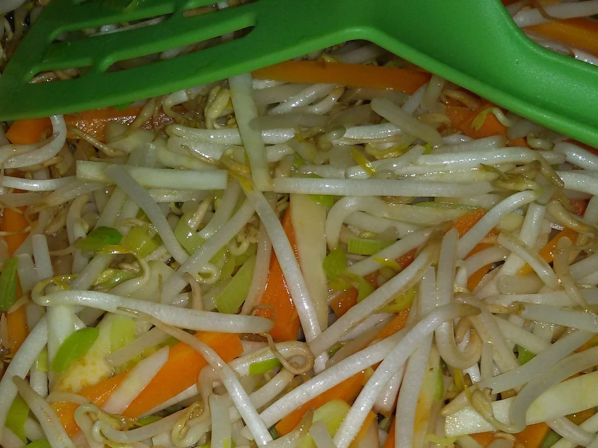 Gebratene Nudeln mit Mungobohnensprossen - Rezept - Bild Nr. 695
