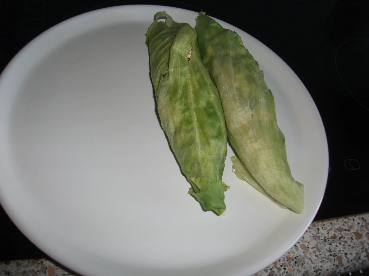 Käserolle mit Zucchinitalern  - Rezept - Bild Nr. 710