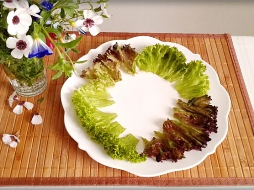 Rezept: Sommerlicher Lollo rosso Salat mit Meerrettich, Schafskäse, Tomaten und …. Bild Nr. 744 Sommerlicher Lollo rosso Salat mit Meerrettich, Schafskäse, Tomaten und …. - Rezept - Bild Nr. 744