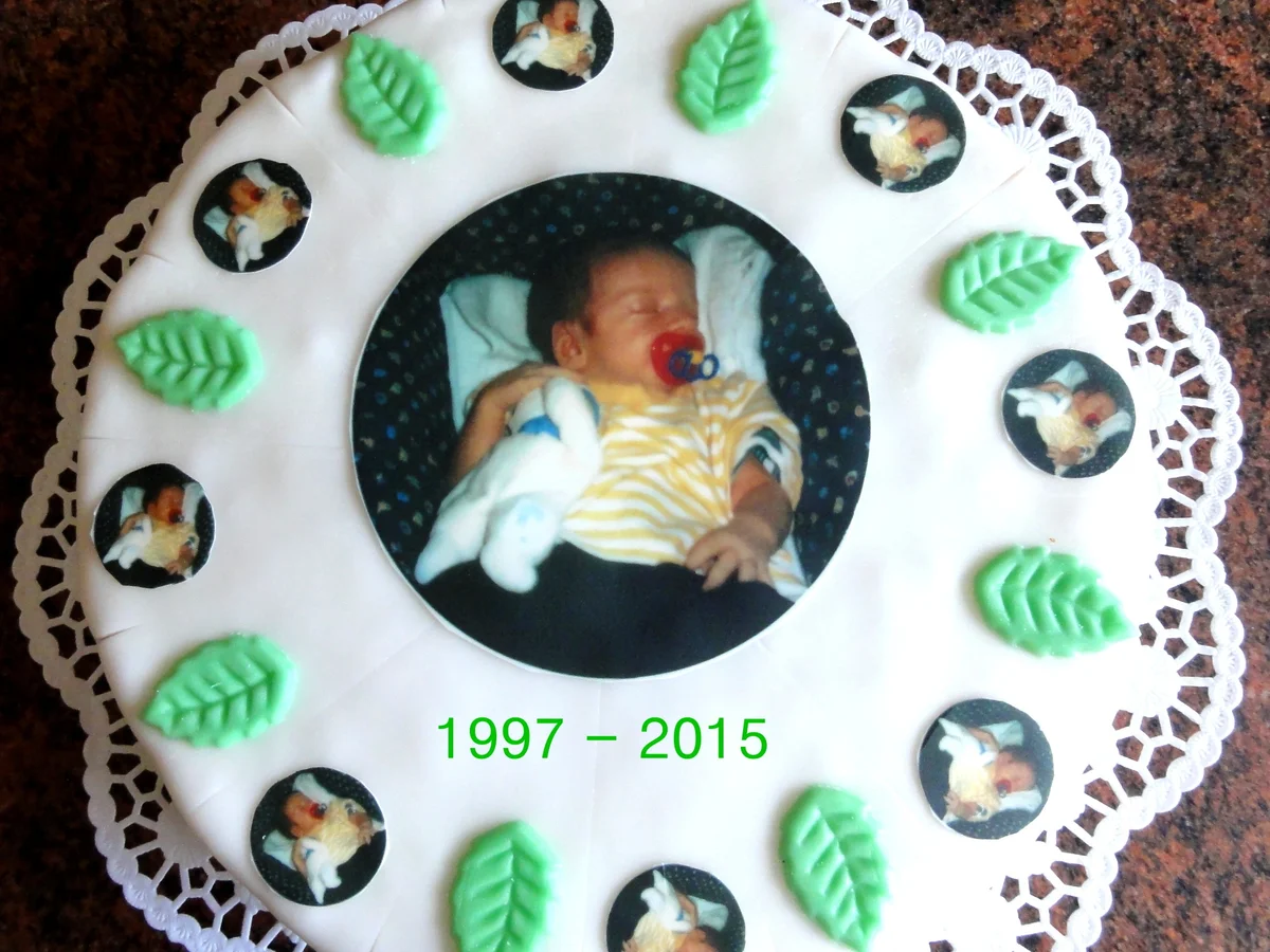 Biskuit:   JOGHURTSAHNE - TORTE  mit Mandarinenfilets - Rezept - Bild Nr. 759