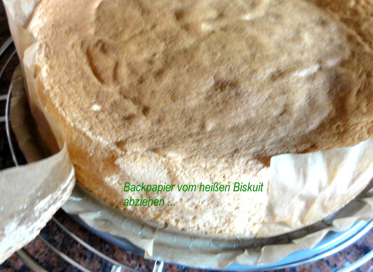 Biskuit:   JOGHURTSAHNE - TORTE  mit Mandarinenfilets - Rezept - Bild Nr. 761