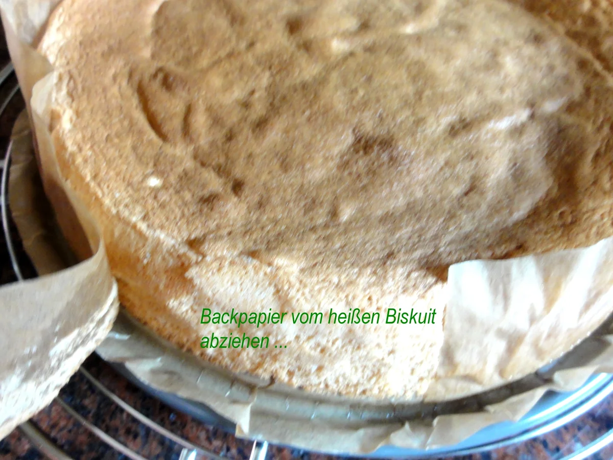 Biskuit:   JOGHURTSAHNE - TORTE  mit Mandarinenfilets - Rezept - Bild Nr. 761