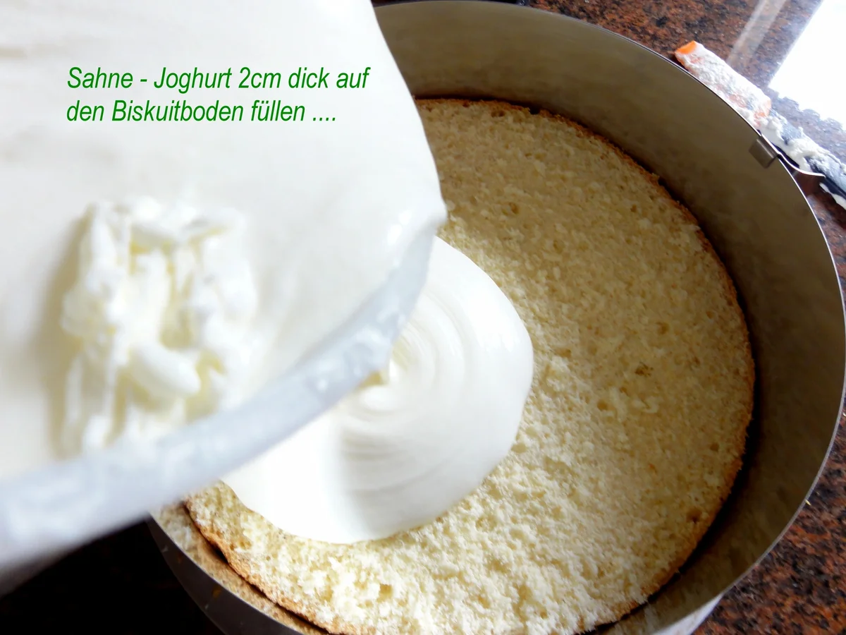 Biskuit:   JOGHURTSAHNE - TORTE  mit Mandarinenfilets - Rezept - Bild Nr. 766