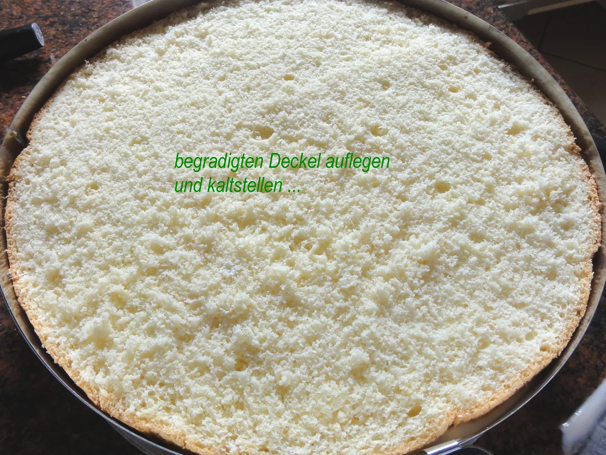 Biskuit:   JOGHURTSAHNE - TORTE  mit Mandarinenfilets - Rezept - Bild Nr. 770