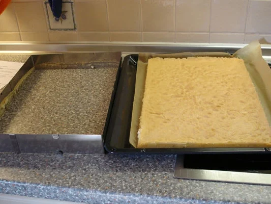 Zitronen-Biskuitrolle mit Muster - Rezept - Bild Nr. 776