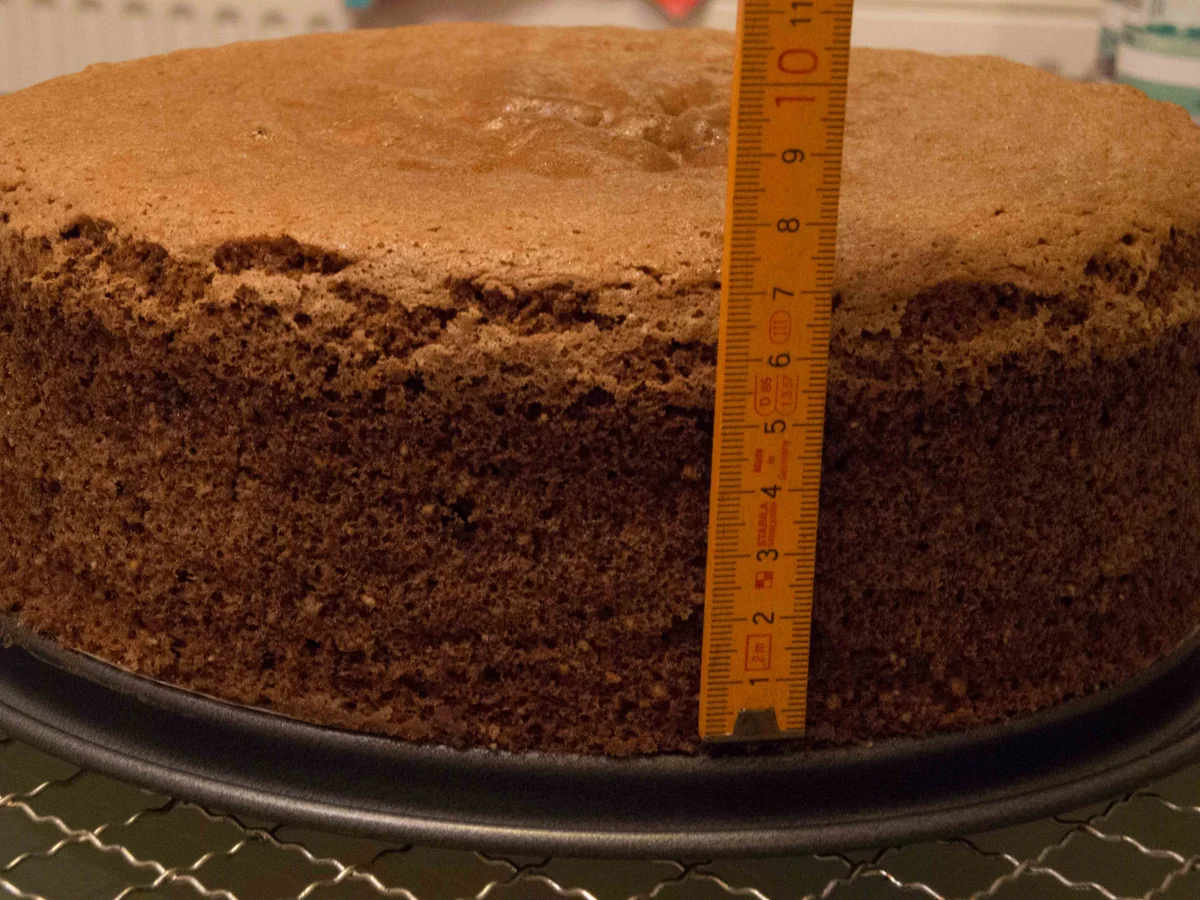 Rezept: Kuchen: Biskuitboden dunkel/hell Bild Nr. 804 Kuchen: Biskuitboden dunkel/hell - Rezept - Bild Nr. 804