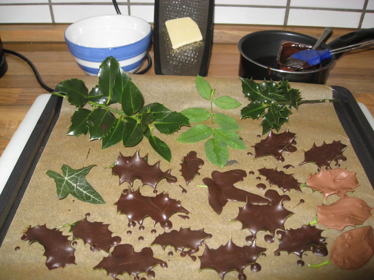 Schokoladentarte ohne backen - Rezept - Bild Nr. 851