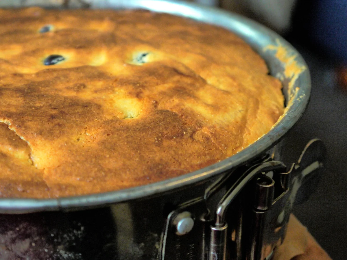 Rezept: Blaubeer-Käsekuchen Bild Nr. 870 Blaubeer-Käsekuchen - Rezept - Bild Nr. 870