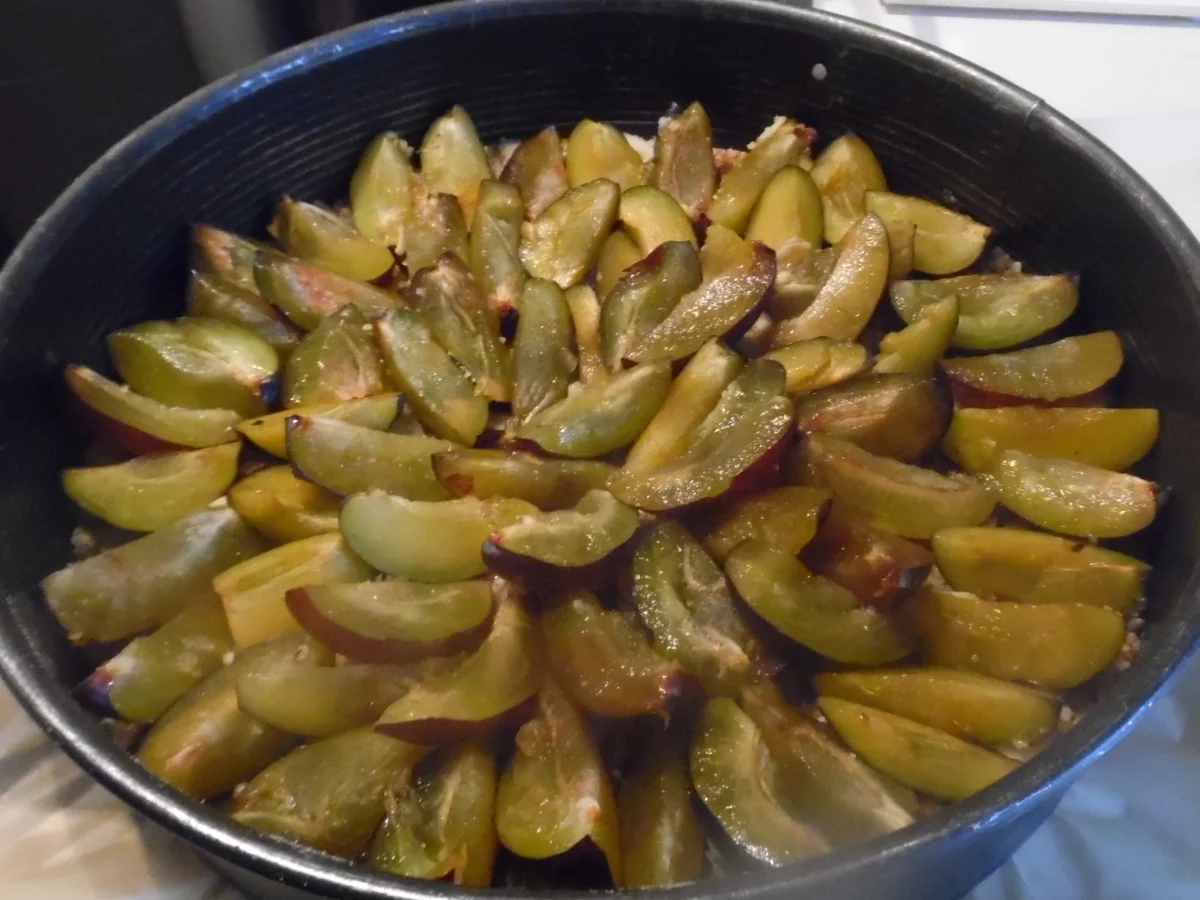 Pflaumen-Torte - Rezept - Bild Nr. 874