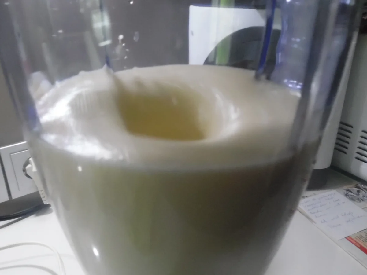 Pina-Colada-Smoothie - Rezept - Bild Nr. 868