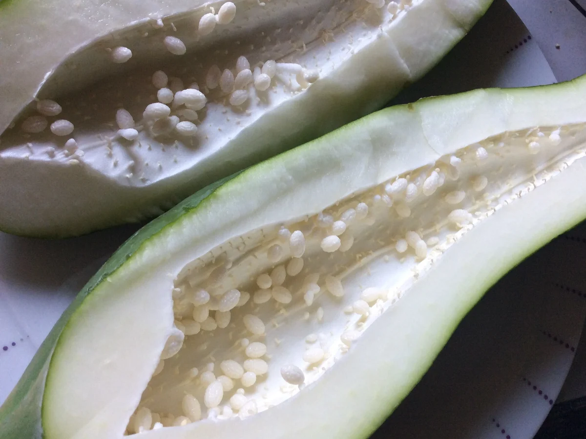 Reisnudelsalat mit Hackfleisch und grüner Papaya - Rezept - Bild Nr. 882