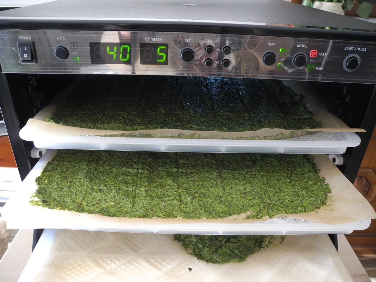 Grüne Kräcker - Rezept - Bild Nr. 886