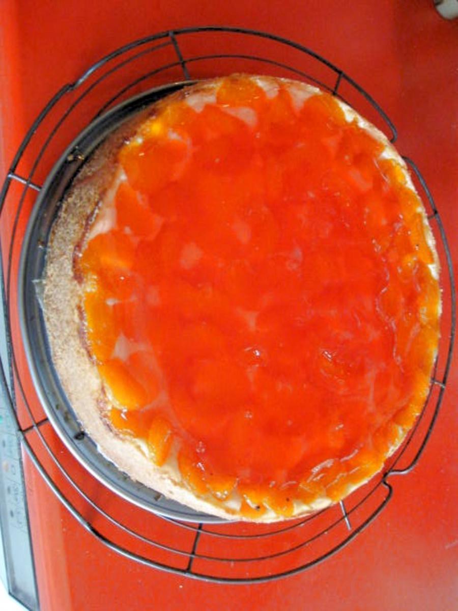 Mandarinen-Käsekuchen mit Pudding - Rezept - Bild Nr. 886
