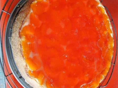 Mandarinen-Käsekuchen mit Pudding - Rezept - Bild Nr. 886