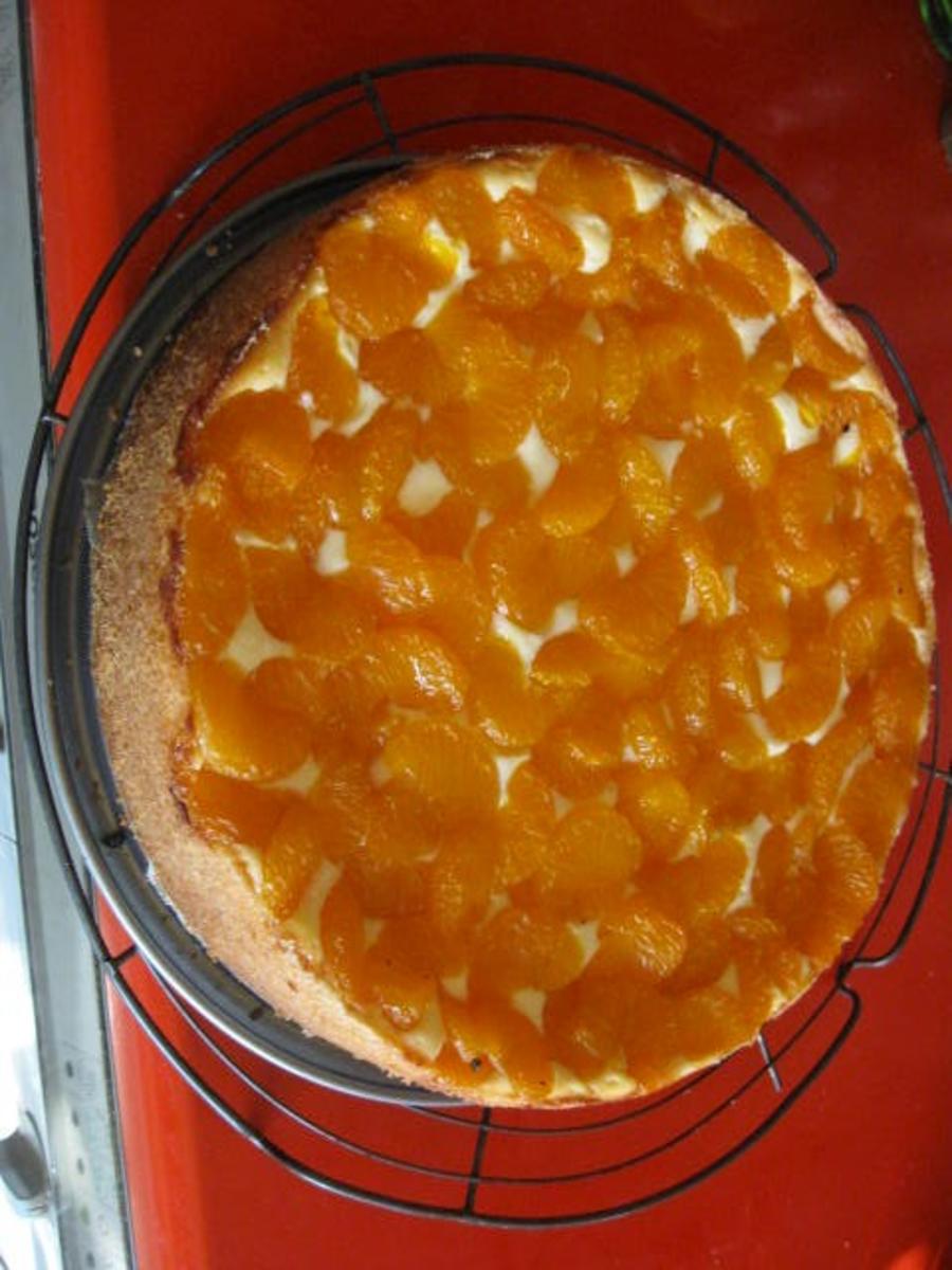 Mandarinen-Käsekuchen mit Pudding - Rezept - Bild Nr. 900