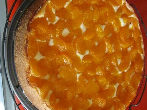 Mandarinen-Käsekuchen mit Pudding - Rezept - Bild Nr. 900