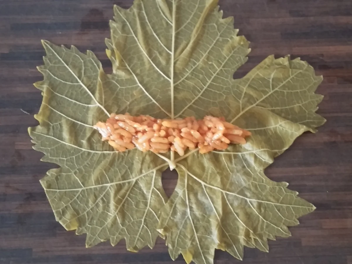 Rezept: Dolma / Sarma Bild Nr. 889 Dolma / Sarma - Rezept - Bild Nr. 889