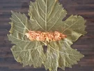 Dolma / Sarma - Rezept - Bild Nr. 889